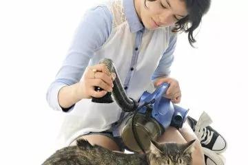 Staubsauger für Katzenhaare – Tierhaare entfernen