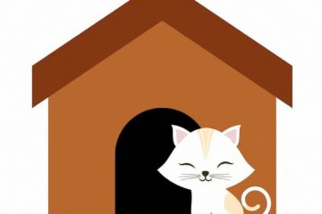 Schöne Katzenhäuser – Perfekter Rückzugsort für Katzen