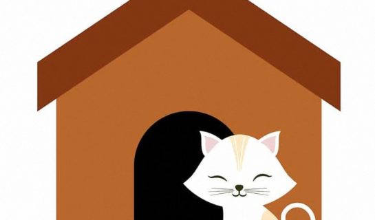 Schöne Katzenhäuser – Perfekter Rückzugsort für Katzen