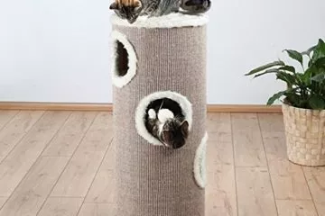Kratzturm und Kratztonne für Katzen