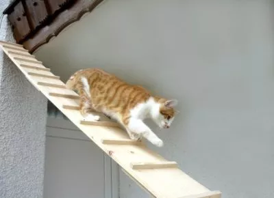 Katzentreppe, Balkonkatzentreppe 2 Meter