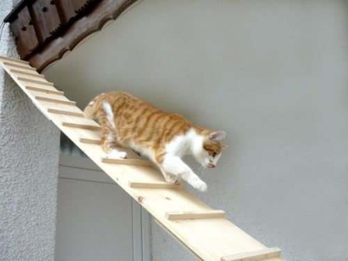 Katzentreppe, Balkonkatzentreppe 2 Meter 