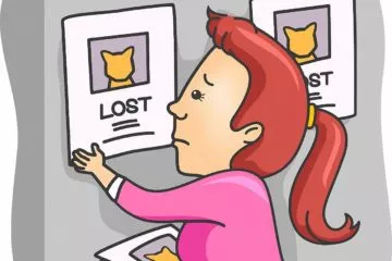 Katze entlaufen? Wie finde ich eine verlorene Katze wieder?