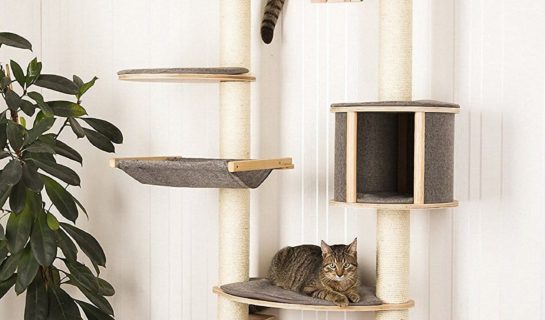 Wandkratzbaum für Katzen – Stilvolle Kratzbäume