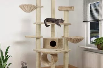 Happypet® Kratzbäume – Alles für das Wohlbefinden der Katze