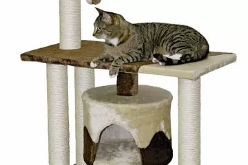 Kerbl Kratzbäume: Solide und formschöne Katzenmöbel