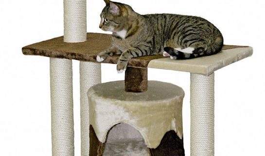 Kerbl Kratzbäume: Solide und formschöne Katzenmöbel