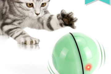 WWVVPET Interaktives Katzenspielzeug Ball mit LED-Licht