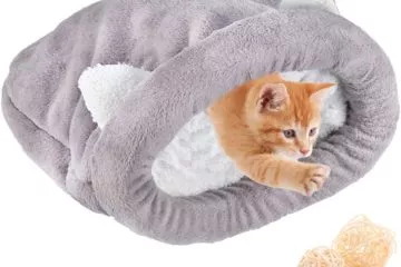 Ein Kuschelsack für Deine Katze – Kuschelig, gemütlich und warm